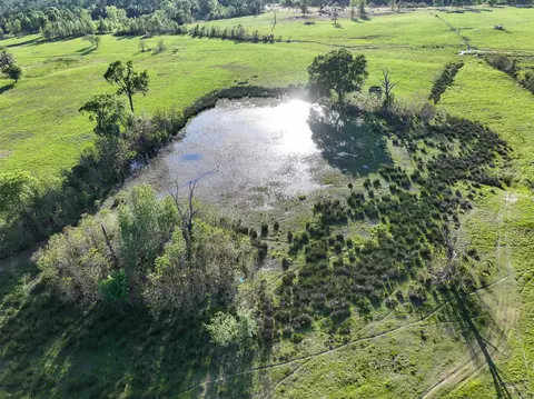 View/Area - 870 Fm 3188, Trinity, TX 75862 photo 10 of 16