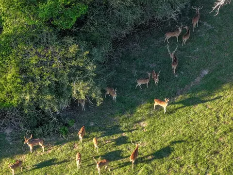 View/Area - 870 Fm 3188, Trinity, TX 75862 photo 2 of 16