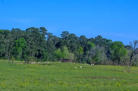 Other - 870 Fm 3188, Trinity, TX 75862 photo 2 of 18