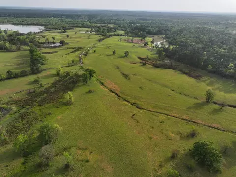 View/Area - 870 Fm 3188, Trinity, TX 75862 photo 7 of 16