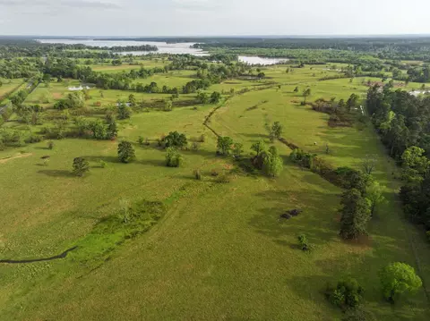 View/Area - 870 Fm 3188, Trinity, TX 75862 photo 8 of 16