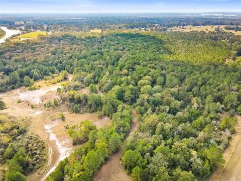 lot31 Lake Livingston Ln, Trinity, TX 75862 photo 12