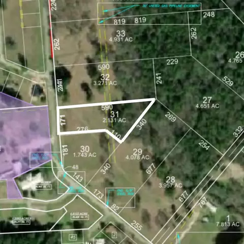 lot31 Lake Livingston Ln, Trinity, TX 75862