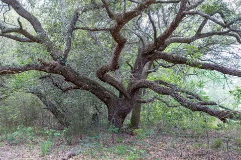 tbd Fm 1094, New Ulm, TX 78950