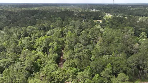 0 Todd Mission Dr, Plantersville, TX 77363