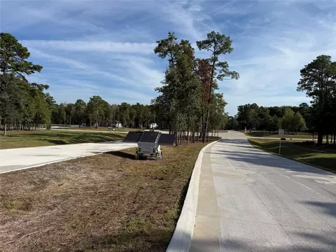 99 Pine Timber Dr, Willis, TX 77378 photo 9