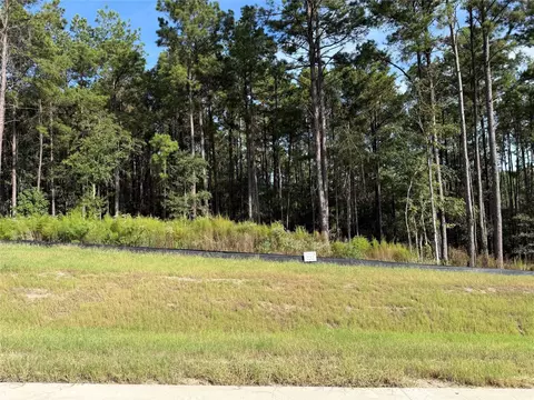 99 Pine Timber Dr, Willis, TX 77378 photo 6