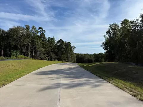 99 Pine Timber Dr, Willis, TX 77378 photo 7