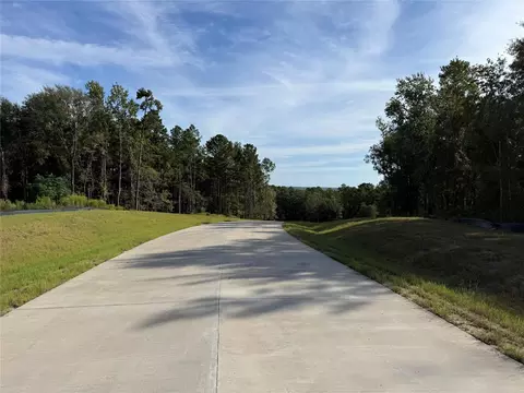 99 Pine Timber Dr, Willis, TX 77378 photo 8