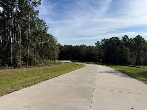 99 Pine Timber Dr, Willis, TX 77378 photo 5