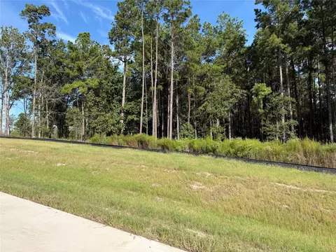 99 Pine Timber Dr, Willis, TX 77378 photo 4