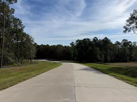 99 Pine Timber Dr, Willis, TX 77378 photo 2