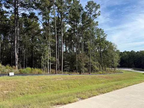 99 Pine Timber Dr, Willis, TX 77378 photo 3