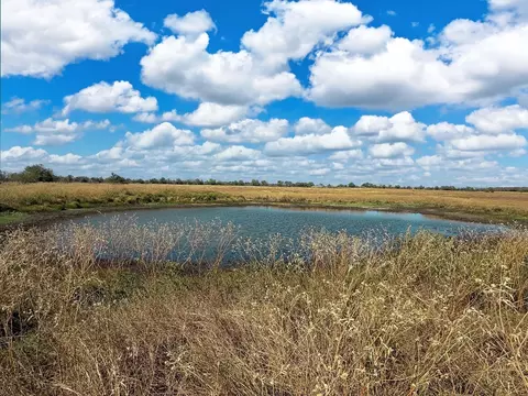 tbd Farm To Market 2745, Kosse, TX 76653