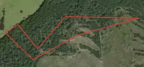 12 Farm To Market 230, Lovelady, TX 77854