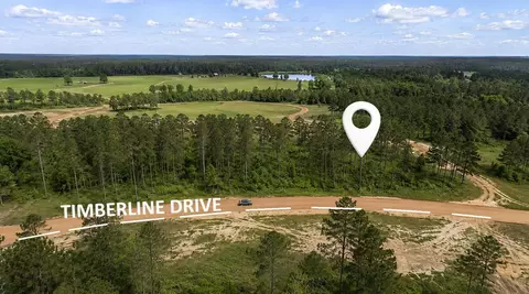 000 Timberline Dr, Hillister, TX 77624