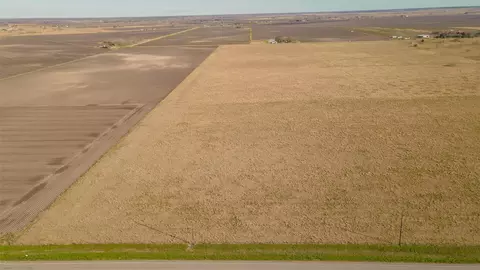 003 Fm 1462 Rd, Damon, TX 77430