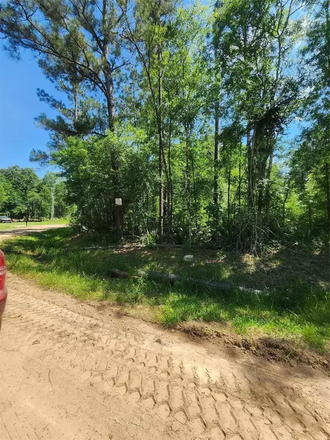 03 Cindy Ln, Shepherd, TX 77371 photo 3