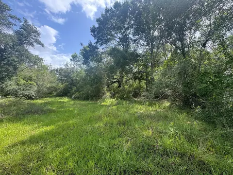 tbd Dewberry Ln, Louise, TX 77455