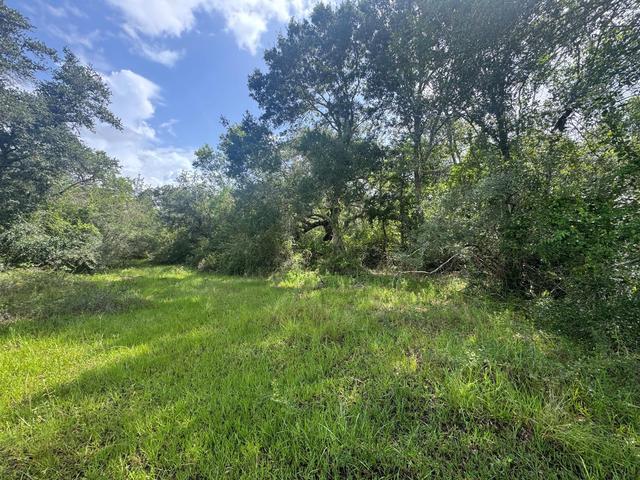 tbd Dewberry Ln, Louise, TX 77455