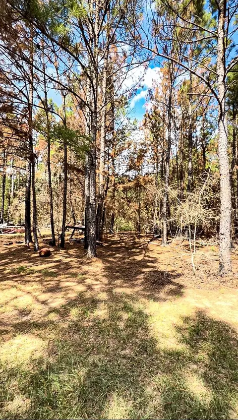 601 Oak Ridge Rd, Willis, TX 77378