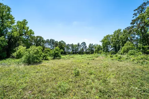 tbd Lilley Rd, Shepherd, TX 77371 photo 9
