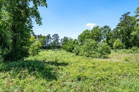 tbd Lilley Rd, Shepherd, TX 77371 photo 8