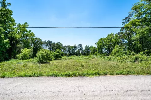 tbd Lilley Rd, Shepherd, TX 77371 photo 6