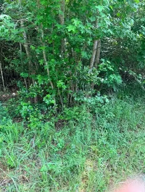 14388 Baxter Rd, Conroe, TX 77306