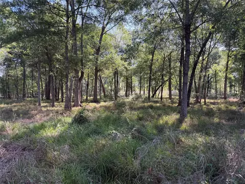 00 County Road 2195, Cleveland, TX 77327