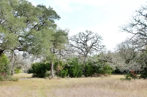 tbd Parcel 10 Lobo Ln, Columbus, TX 78934