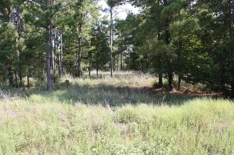 lot4 Morris Ln, Huntsville, TX 77320