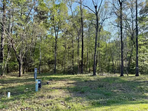 tbd Leaning Oak Dr, Point Blank, TX 77364