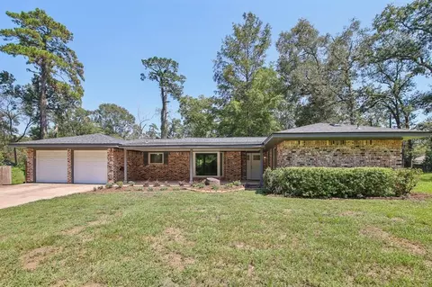 24310 Pine Canyon Dr, Spring, TX 77380 photo 1