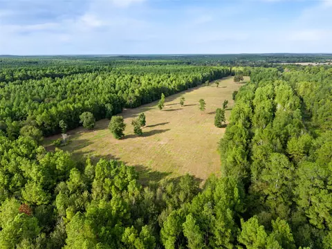 00 Fm 980, Huntsville, TX 77320