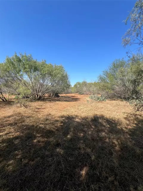 50 Cr 321 Tract 16 J243, Jourdanton, TX 78026