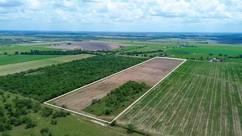 View/Area - 0 Walker Rd, Beasley, TX 77417 photo 5 of 7