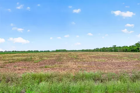 Other - 0 Walker Rd, Beasley, TX 77417 photo 6 of 10