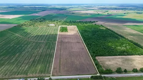 View/Area - 0 Walker Rd, Beasley, TX 77417 photo 2 of 7