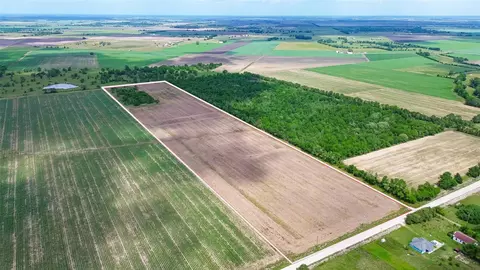 View/Area - 0 Walker Rd, Beasley, TX 77417 photo 3 of 7
