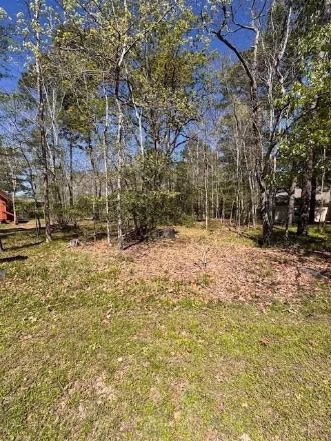 11 Cherry Hills Dr, Coldspring, TX 77331