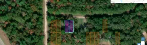 lot S 435 And 436 Wake Frst, Livingston, TX 77351