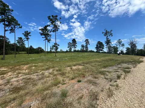 123 Anna Grace, Livingston, TX 77351