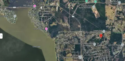 223 Live Oak Ln, Onalaska, TX 77360