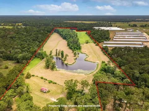 View/Area - 5740 Hwy 103 E, Lufkin, TX 75901 photo 3 of 5