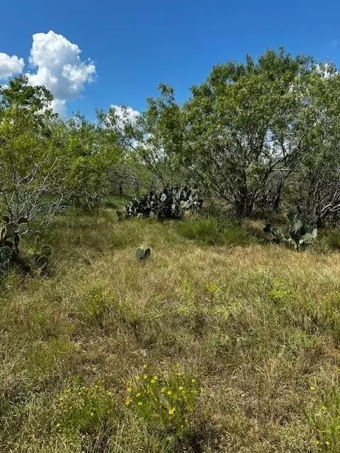 lot1 County Road 420, Waelder, TX 78959