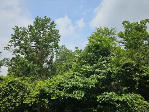 4813 W Fork Blvd, Conroe, TX 77304 photo 2