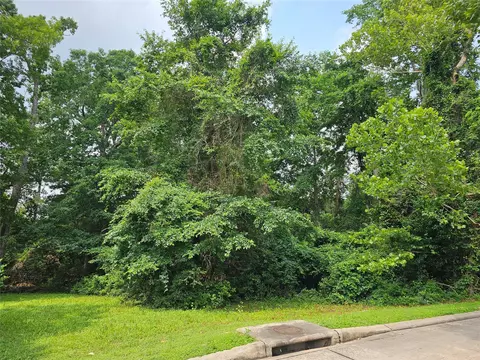 4813 W Fork Blvd, Conroe, TX 77304 photo 4