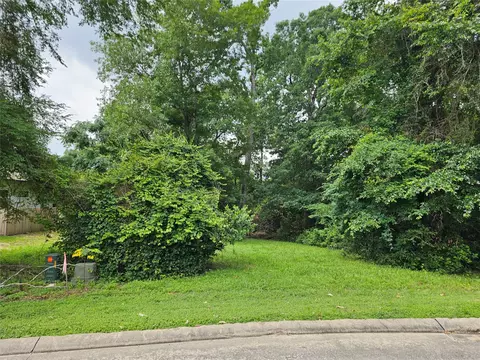 4813 W Fork Blvd, Conroe, TX 77304 photo 3