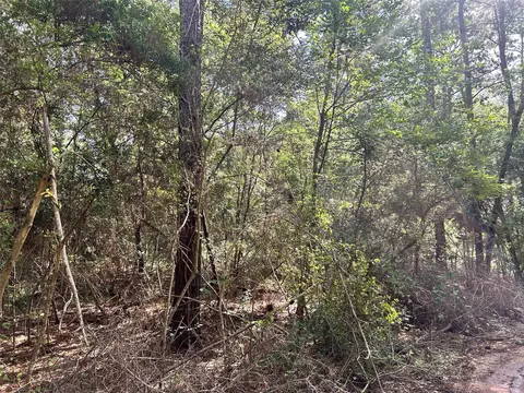 lot28 Sycamore Ln, Plantersville, TX 77363